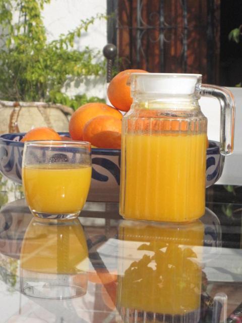 Escuela La Crujia Bed & Breakfast Velez Malaga